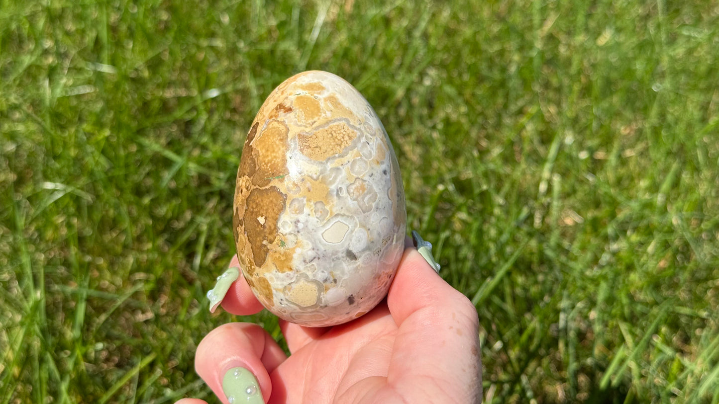 Cobra Jasper Egg - Personal Collection Destash