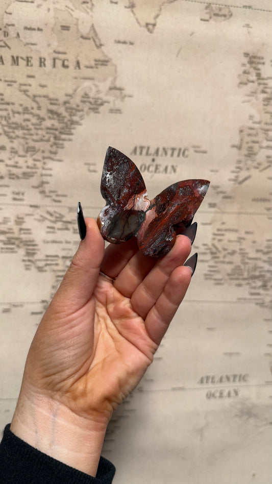 Mexican Crazy Lace Agate 3D Butterfly - Personal Collection Destash