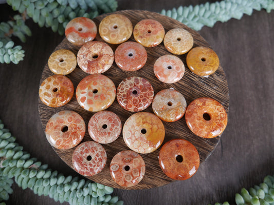 Coral Jasper Mini Donut