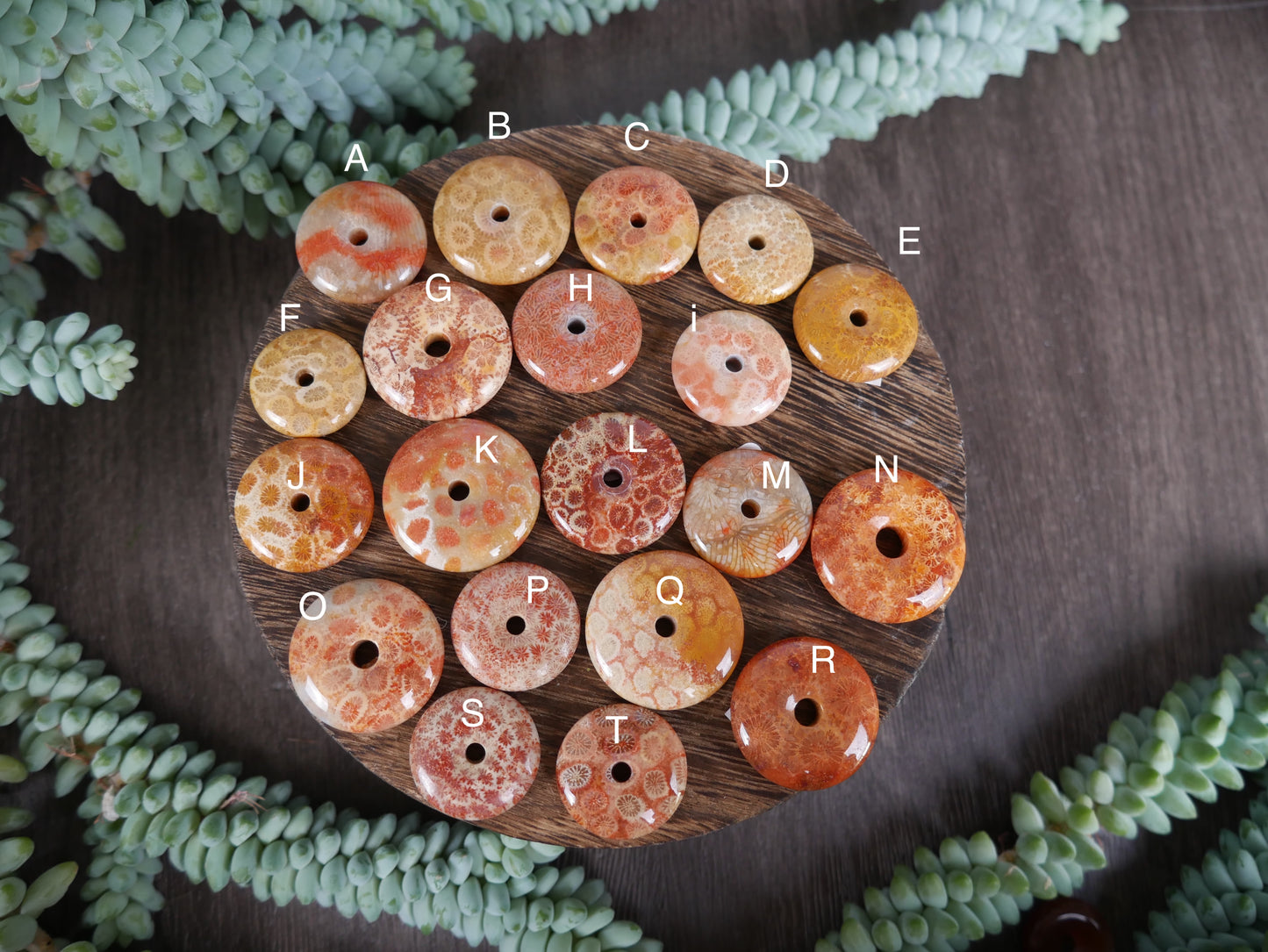 Coral Jasper Mini Donut