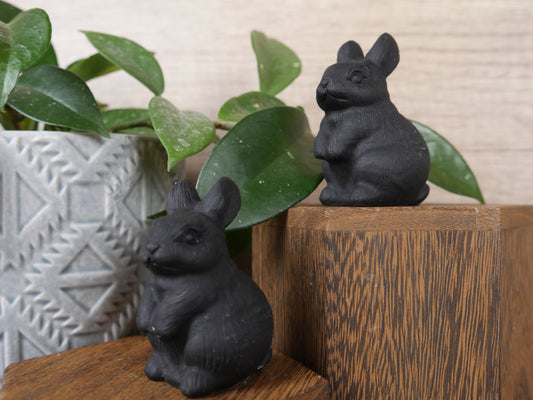 Matte Obsidian Standing Bunny