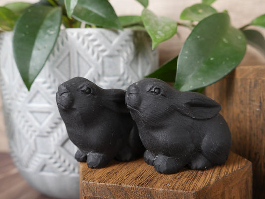 Matte Obsidian Laying Bunny