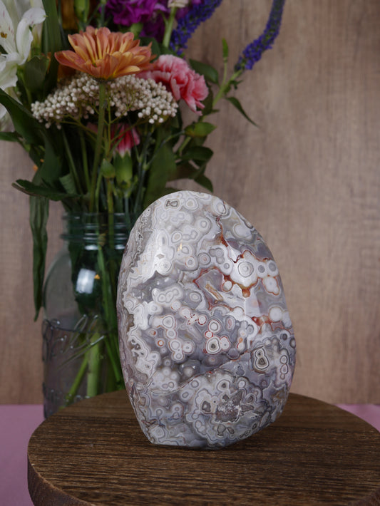 Crazy Lace Agate Freeform #3