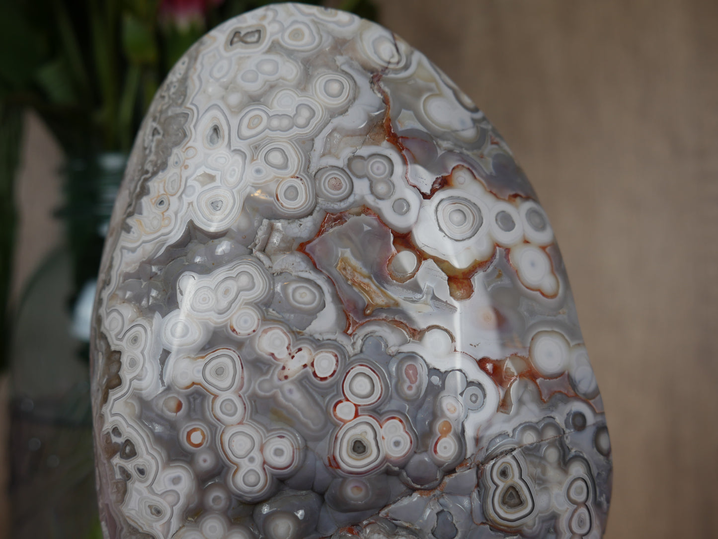 Crazy Lace Agate Freeform #3