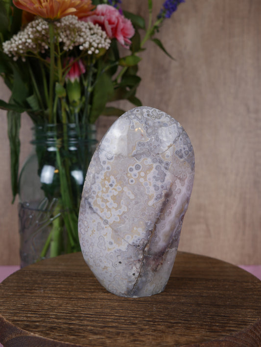 Crazy Lace Agate Freeform #2