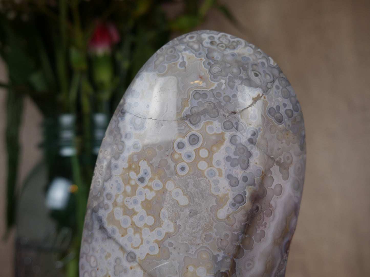 Crazy Lace Agate Freeform #2