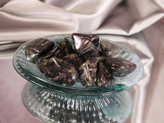 Kambaba Jasper Tumble