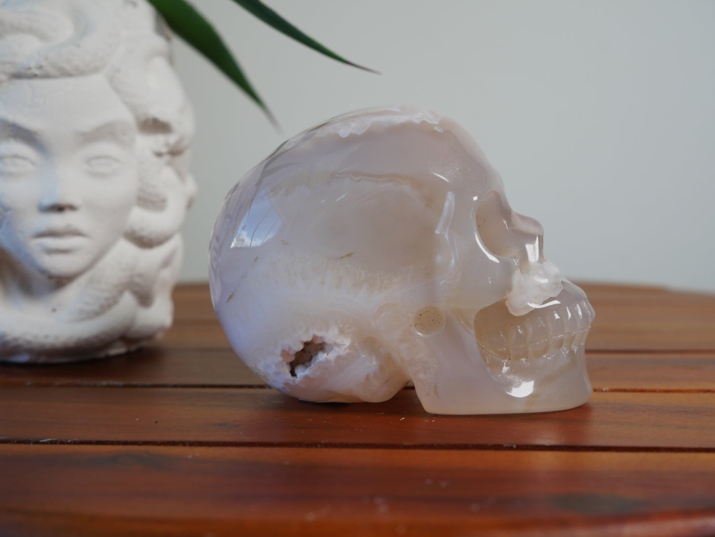 Flower Agate Skull