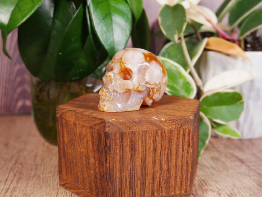Flower Agate x Carnelian Skull