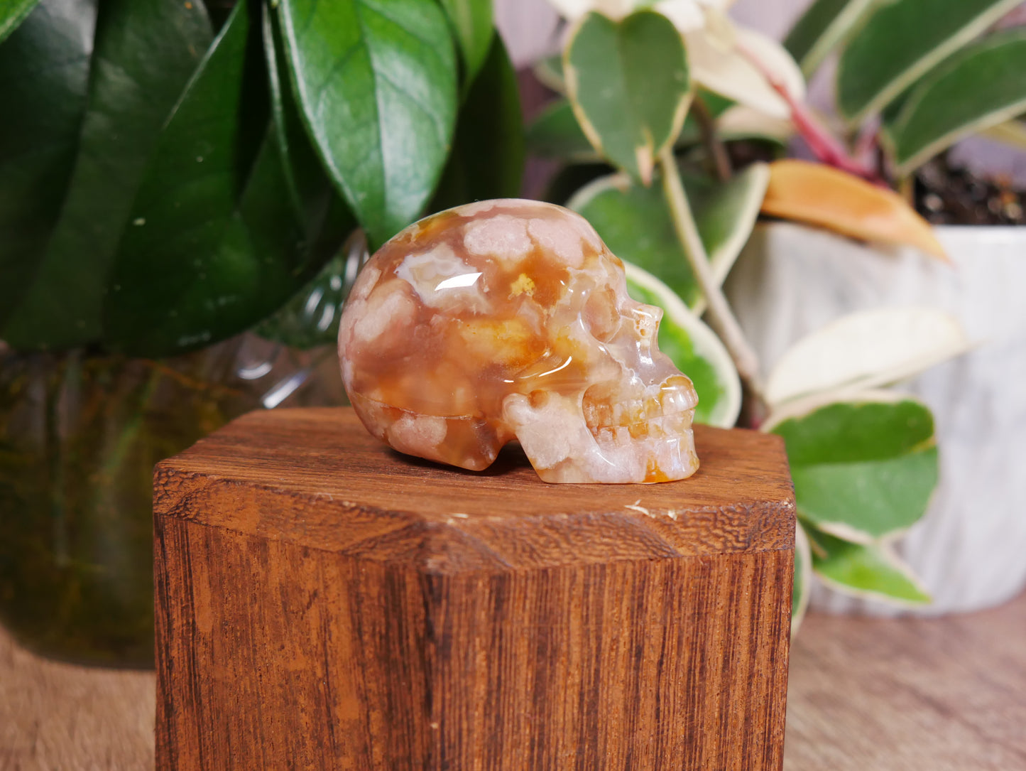 Flower Agate x Carnelian Skull