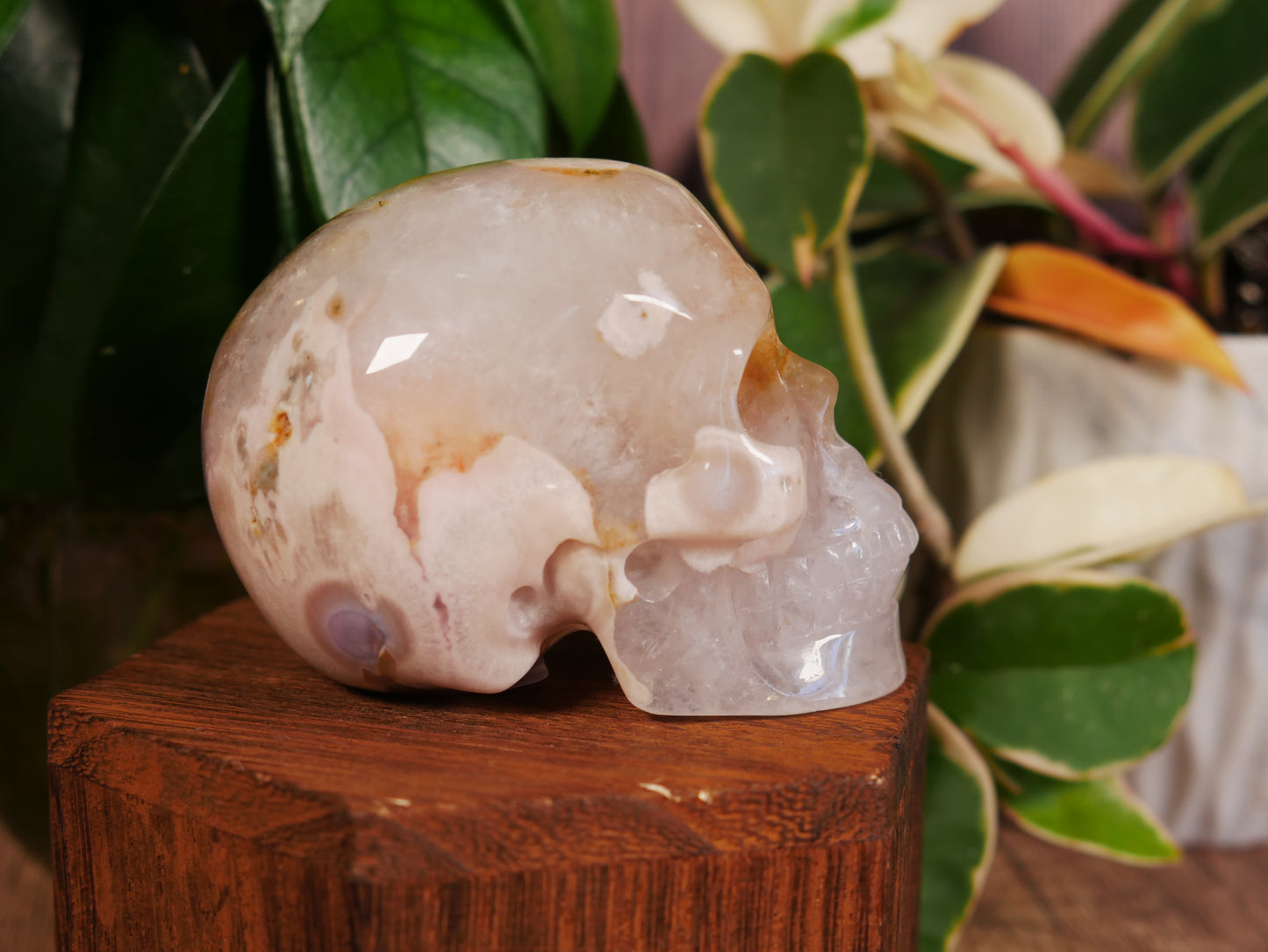 Flower Agate Skull