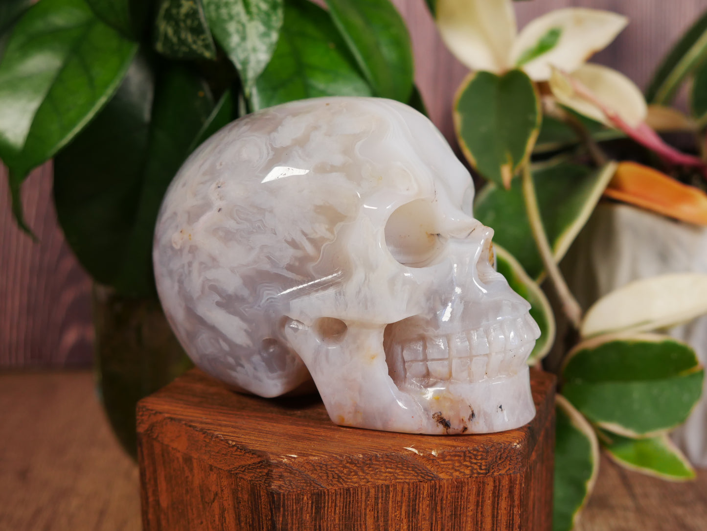 Agate Skull #11