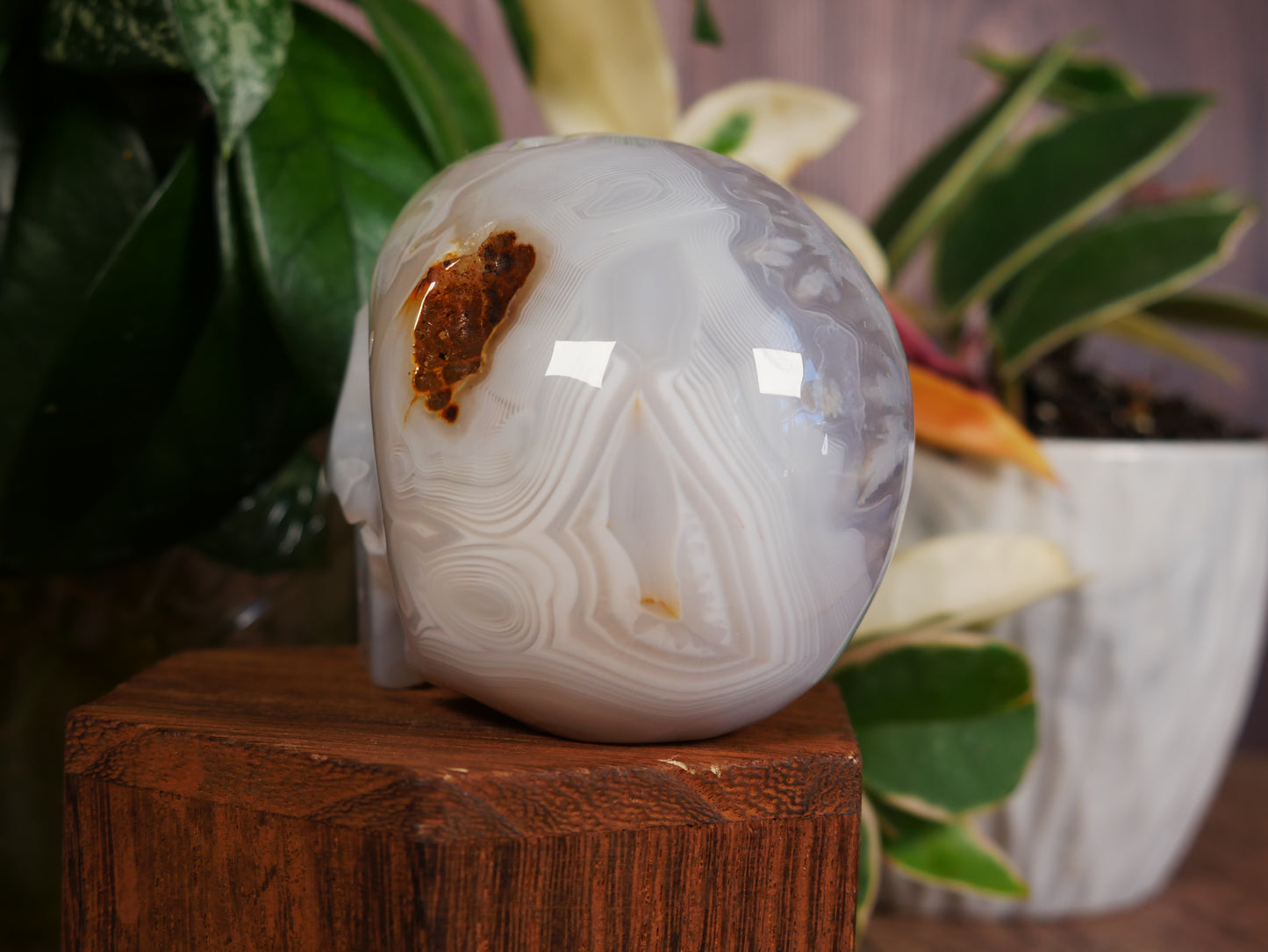 Agate Skull #11