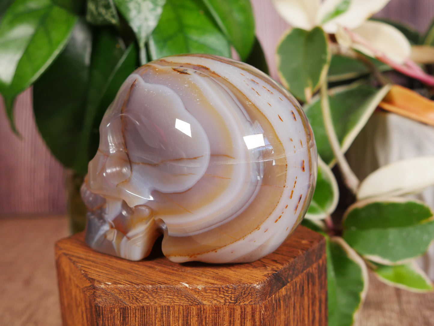 Agate Skull #7