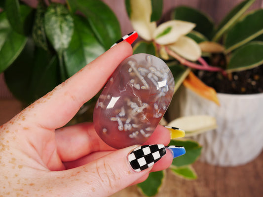 Mozambique Palm Stone