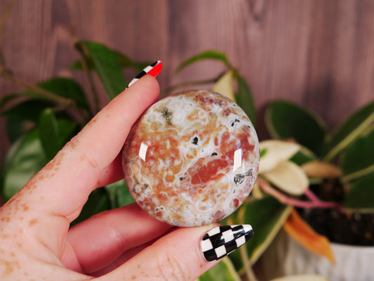 Ocean Jasper Palm Stone - A