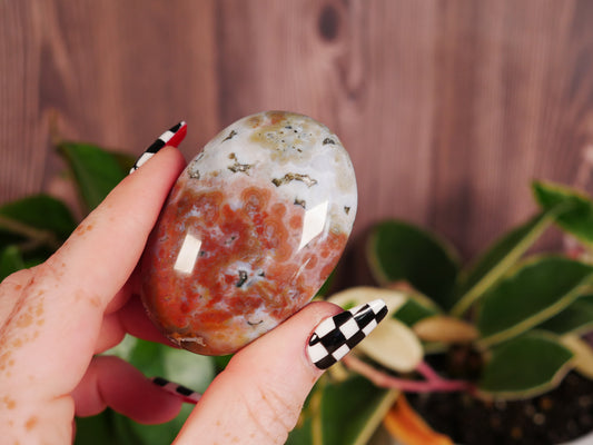 Ocean Jasper Palm Stone - F