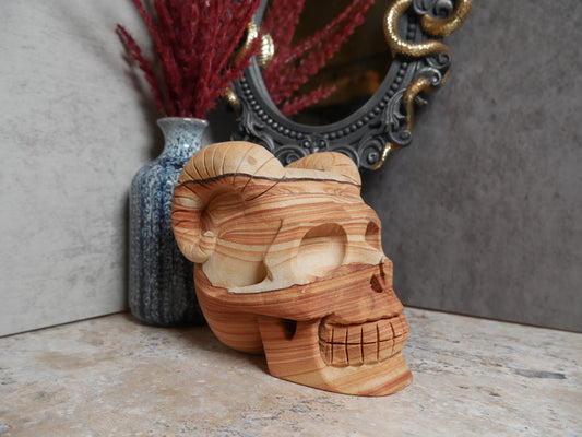 Sandstone Horned Skull