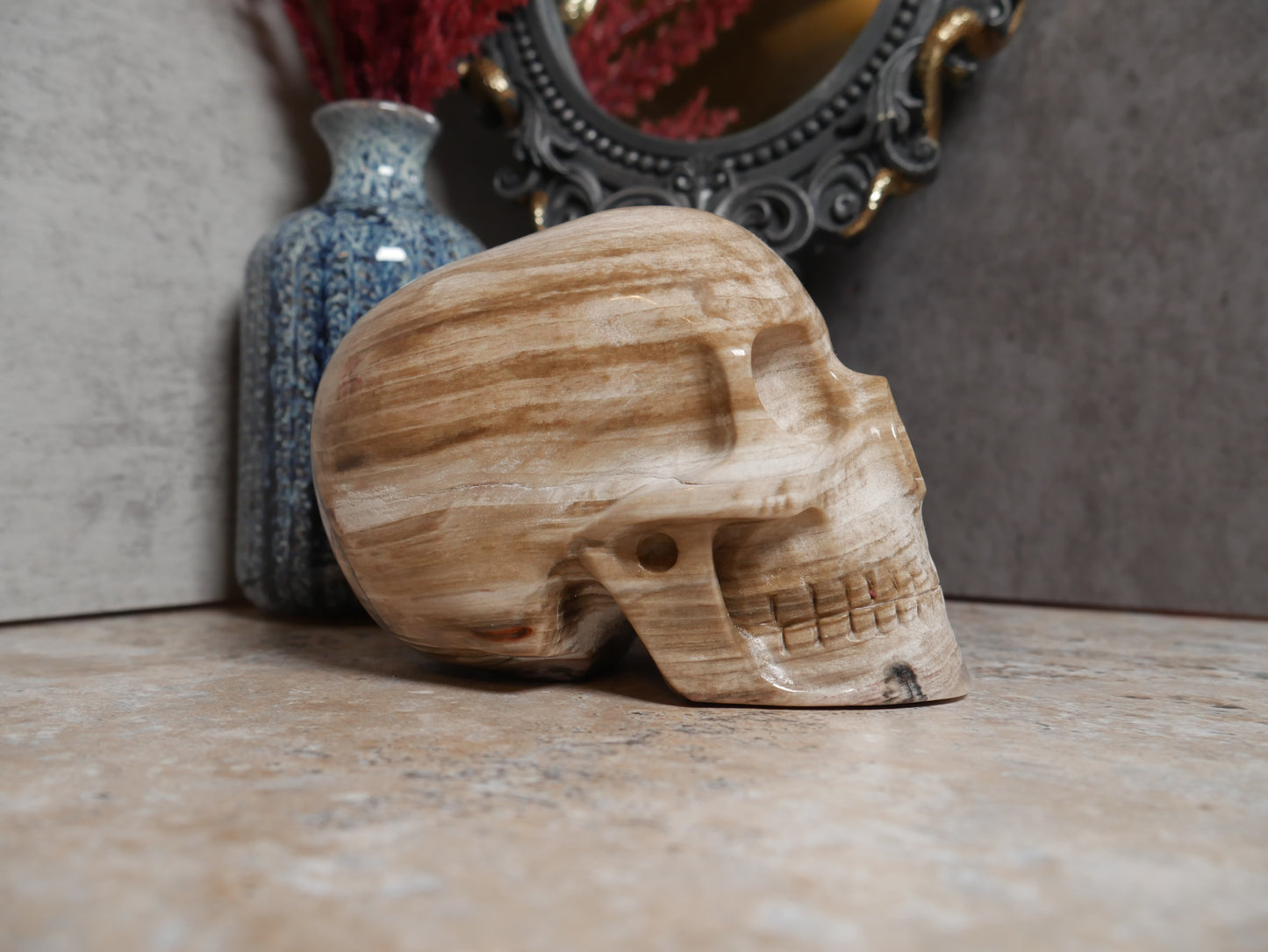 Petrified Wood Mitchell Hodges Skull