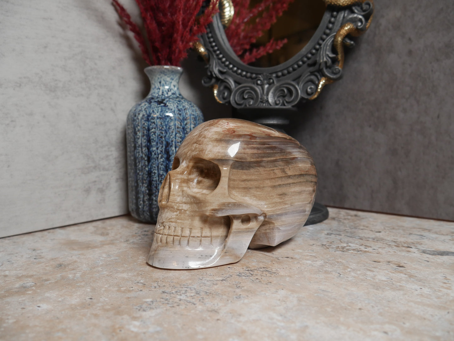 Petrified Wood Mitchell Hodges Skull