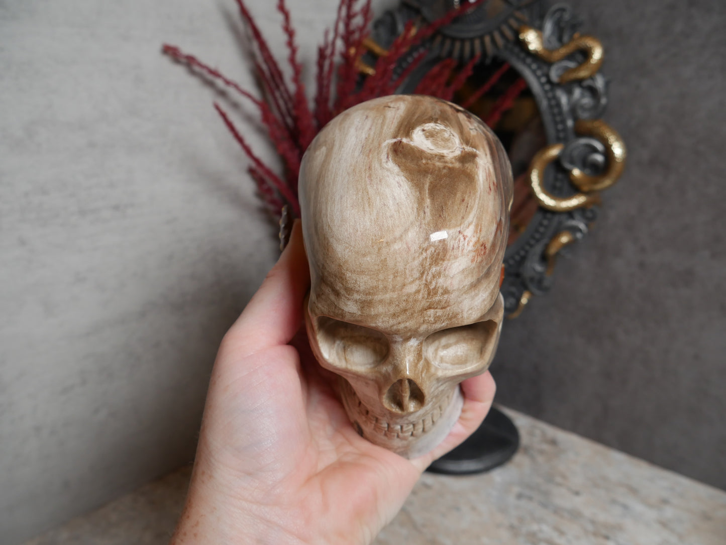 Petrified Wood Mitchell Hodges Skull