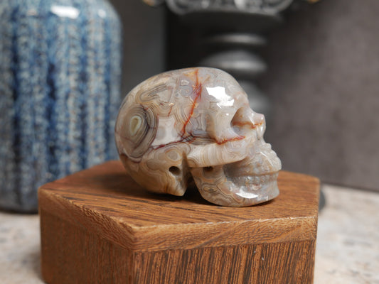 Crazy Lace Agate Skull