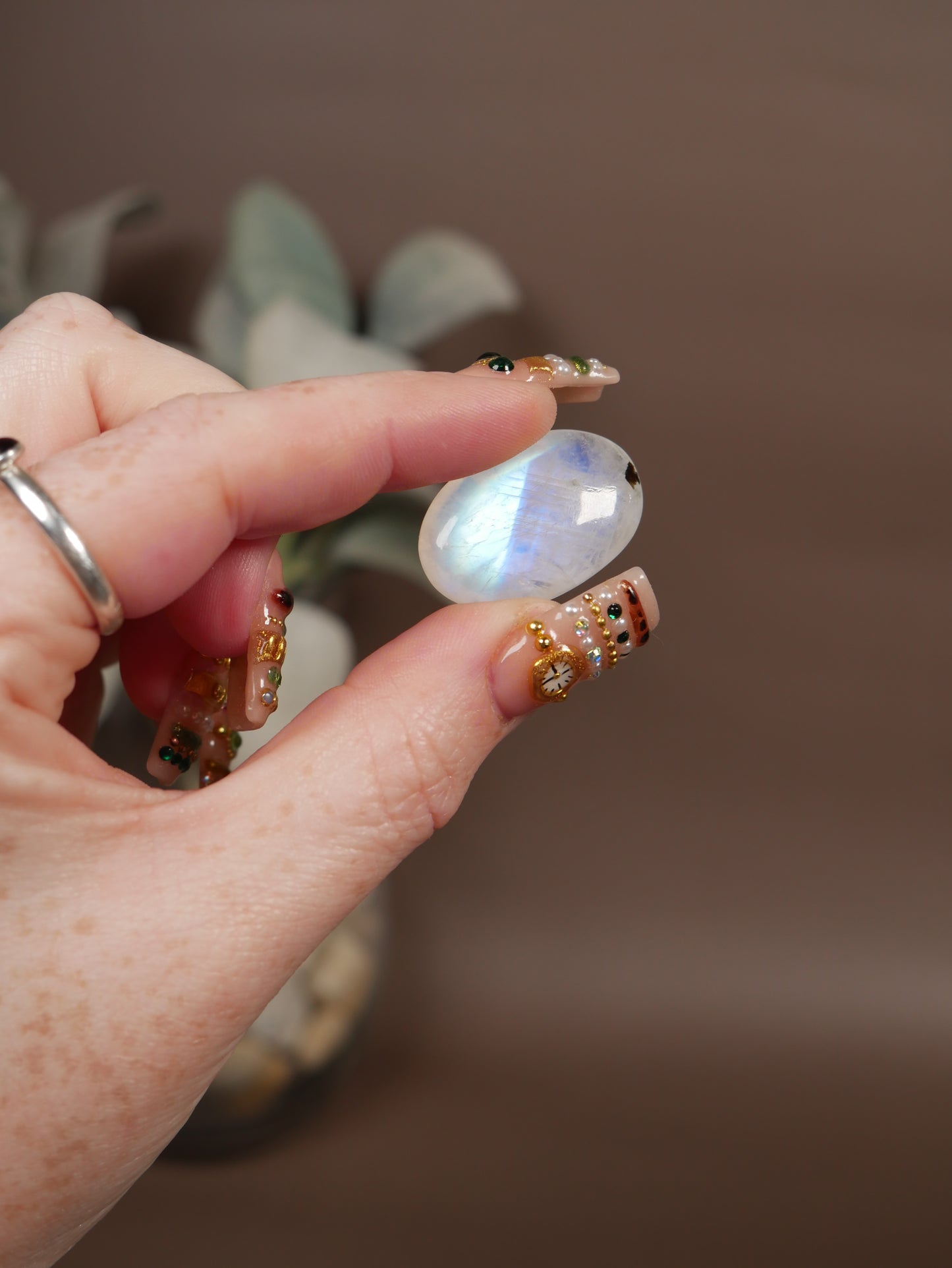 AAA Grade Moonstone Pocket Palm #8