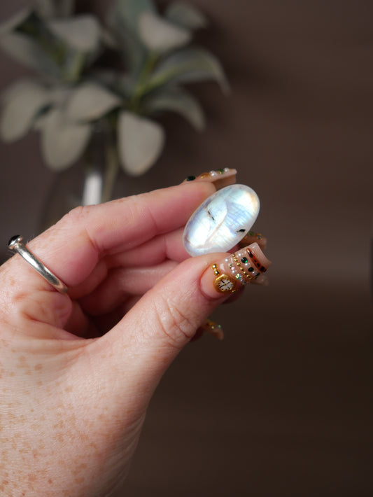 AAA Grade Moonstone Pocket Palm #14