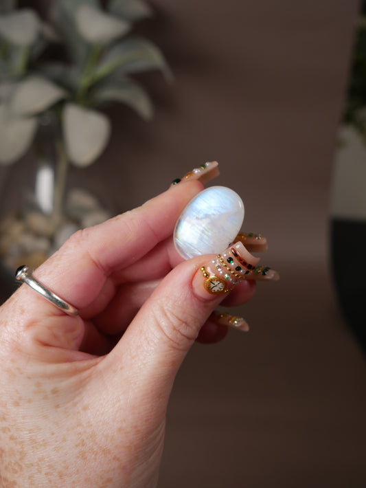 AAA Grade Moonstone Pocket Palm #15