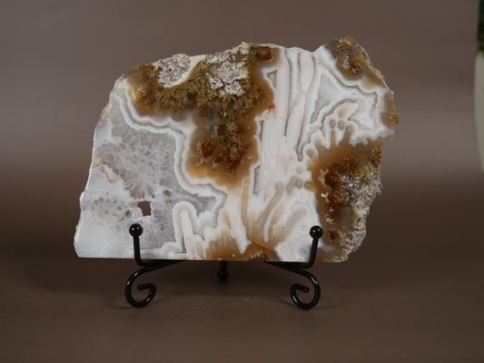 Scenic Moss Agate Slab #5