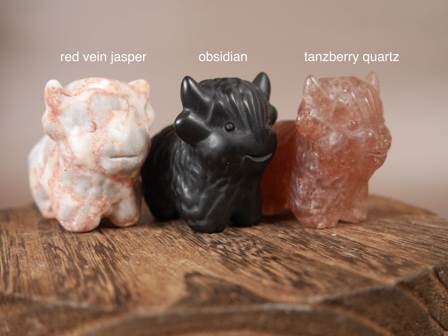 Highland Cow - Large