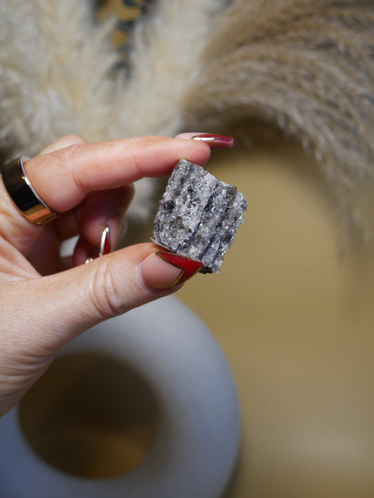 Arizona Crystallized Fossil Wood #5