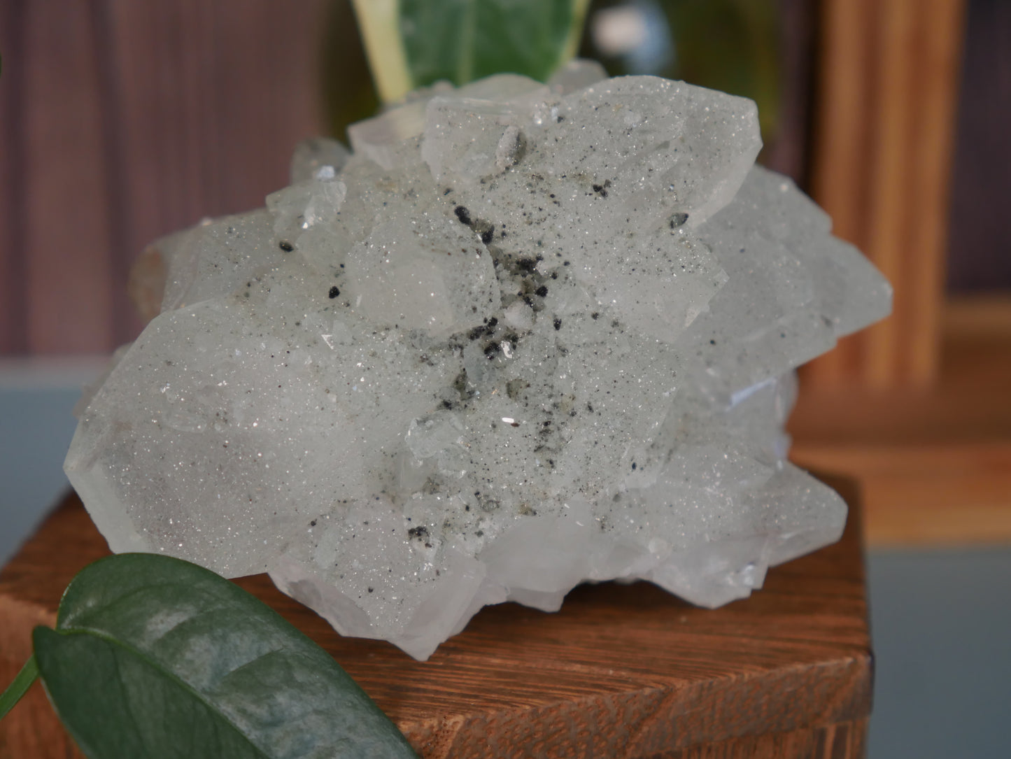 Green Sugar Apophyllite