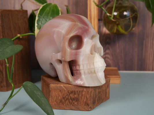 Pink-banded Onyx Skull