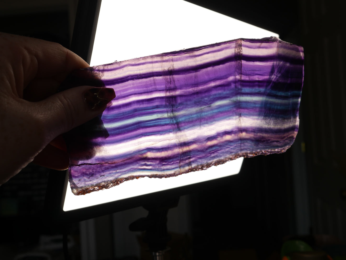 Rainbow Fluorite Slab #3