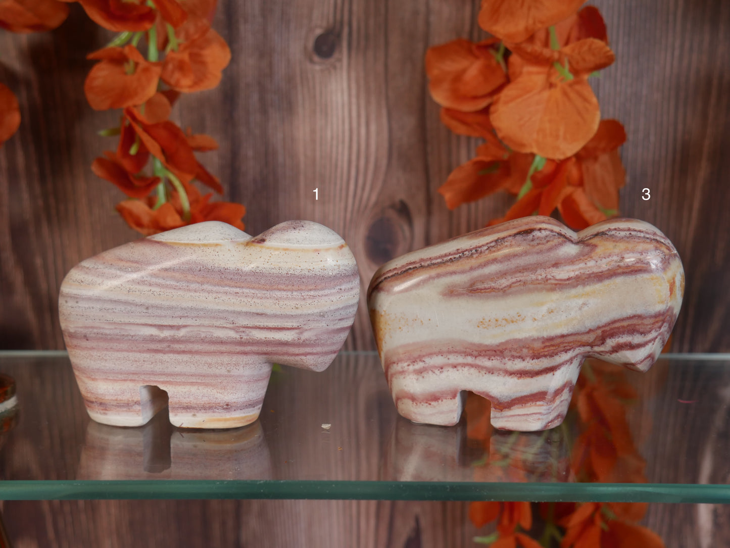 Utah Rainbow Rhyolite Buffalo