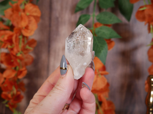 Himalayan Quartz #16