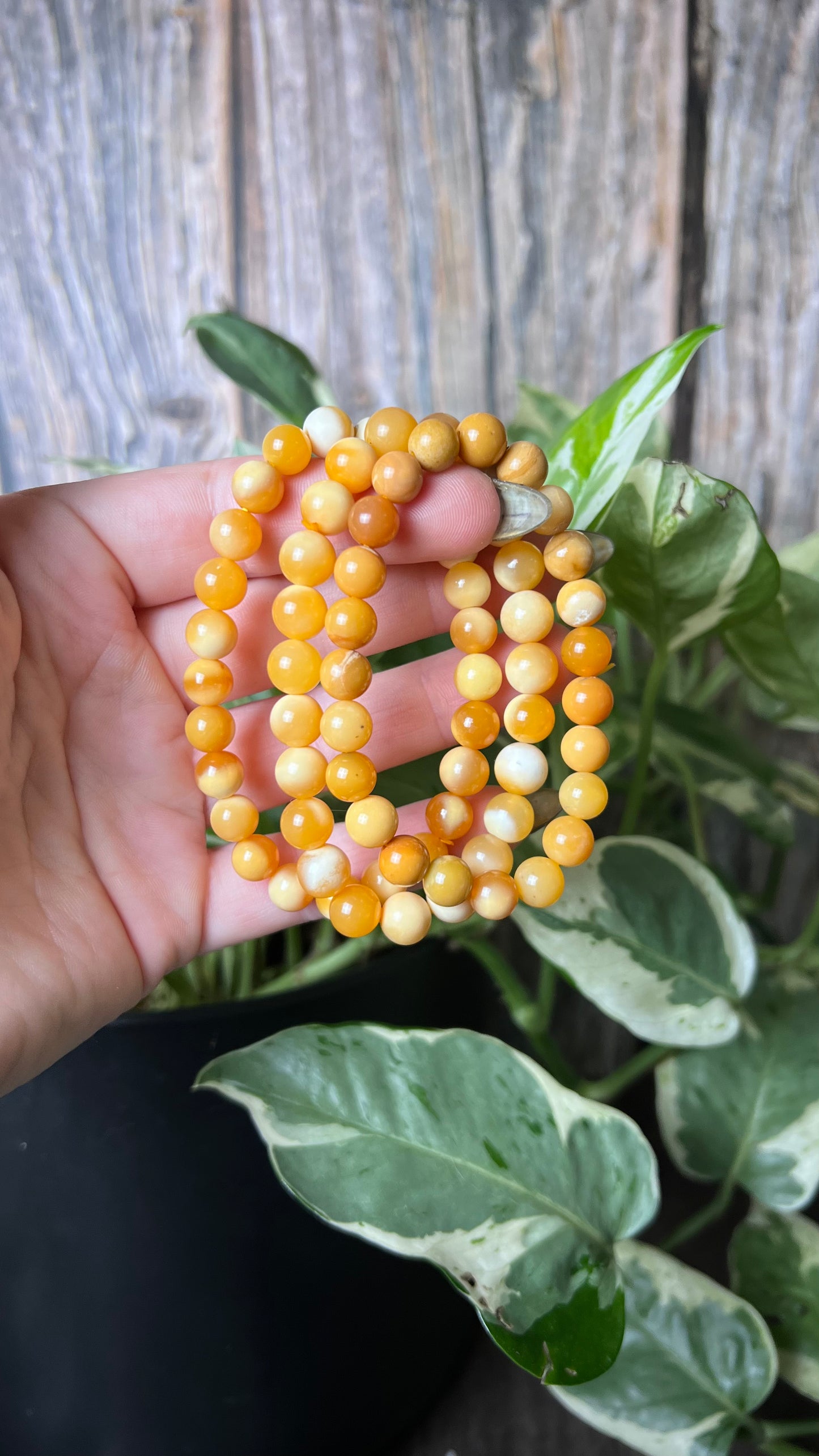 Burmese Egg Yolk Bracelet