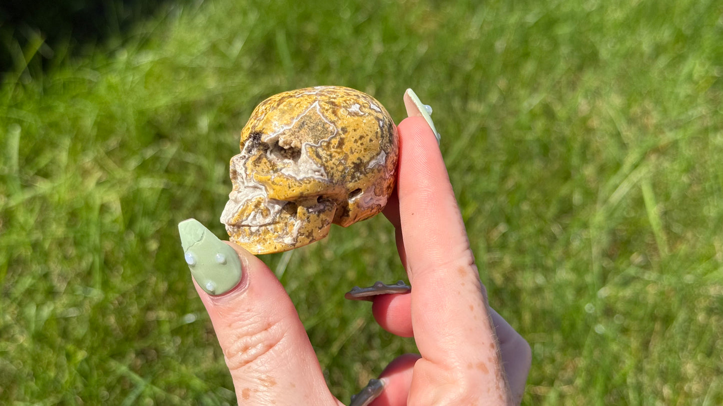 Ocean Jasper Skull - Personal Collection Destash