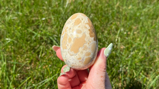 Cobra Jasper Egg - Personal Collection Destash