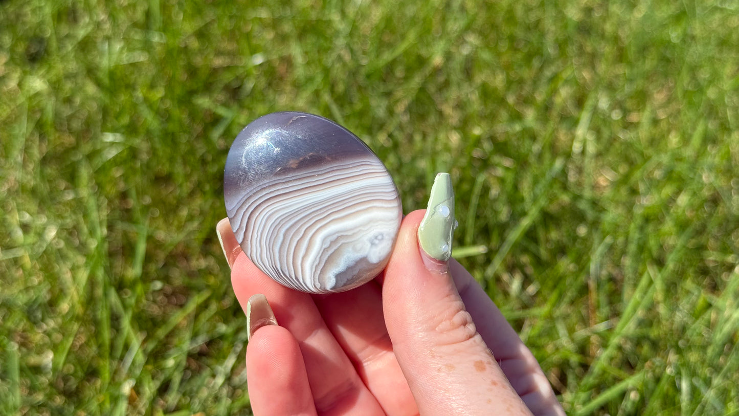 Botswana Agate Palm Stone - Personal Collection Destash