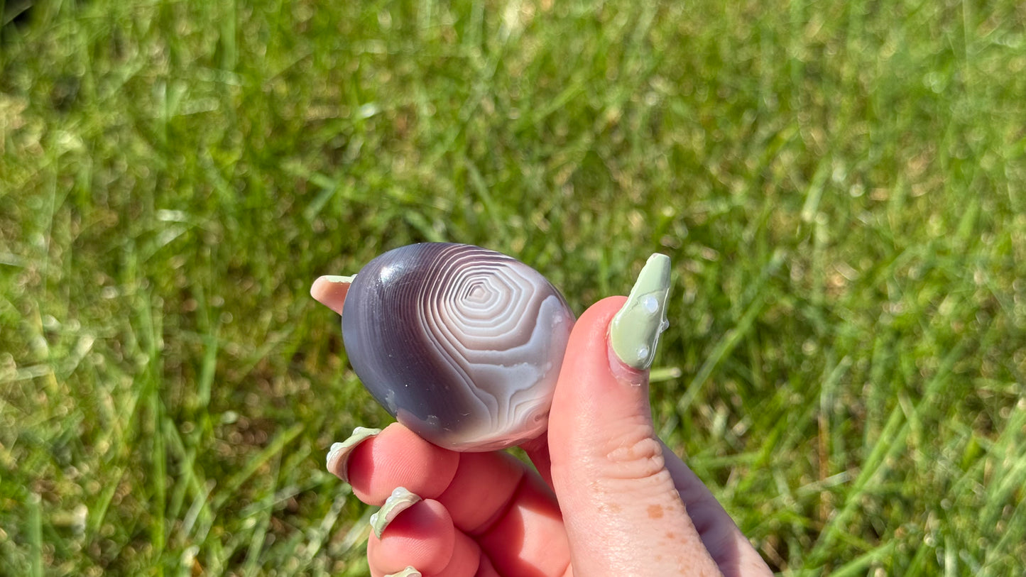 Botswana Agate Palm Stone - Personal Collection Destash