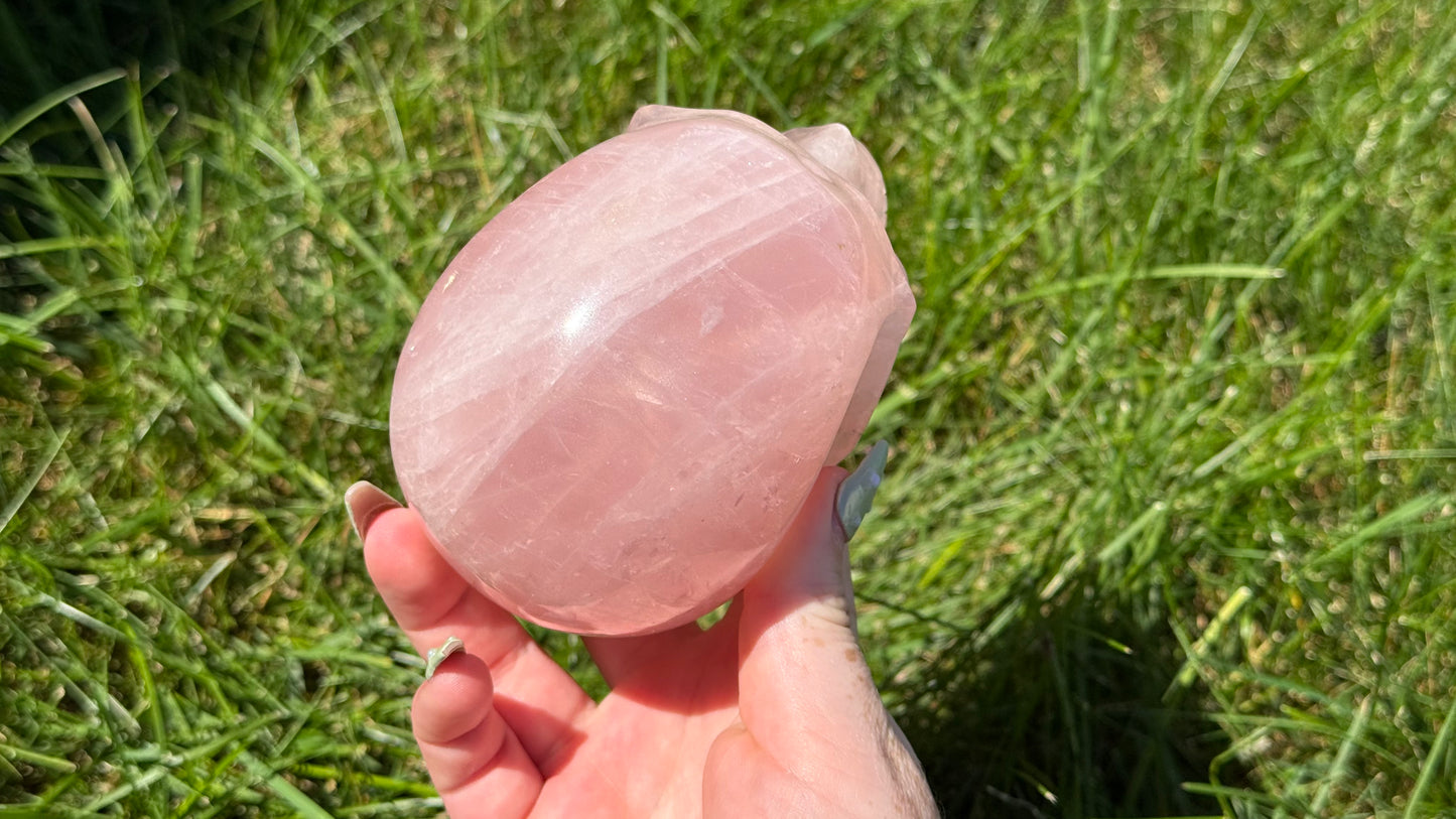 Star Rose Quartz Skull - Personal Collection Destash