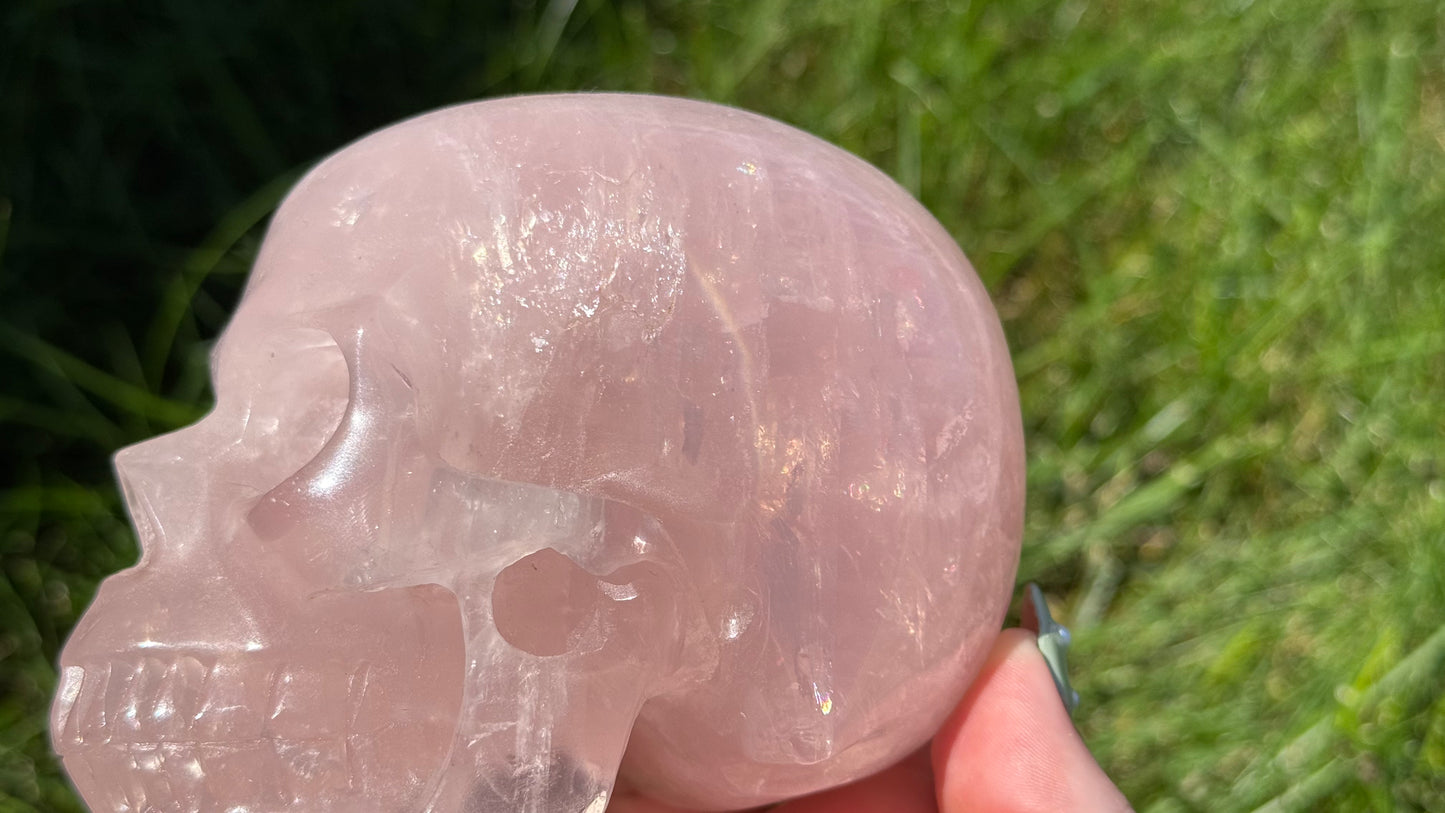 Star Rose Quartz Skull - Personal Collection Destash
