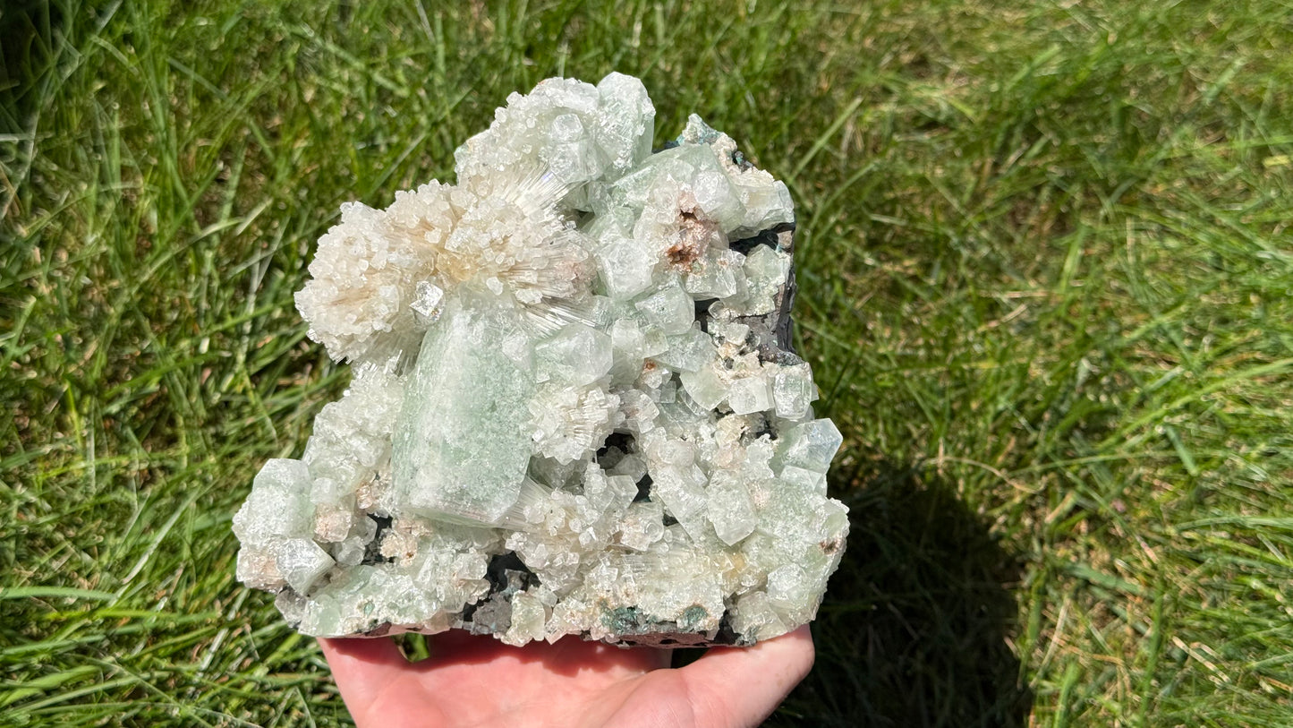 Green Apophyllite, Mesolite, Scolecite Specimen - Personal Collection Destash