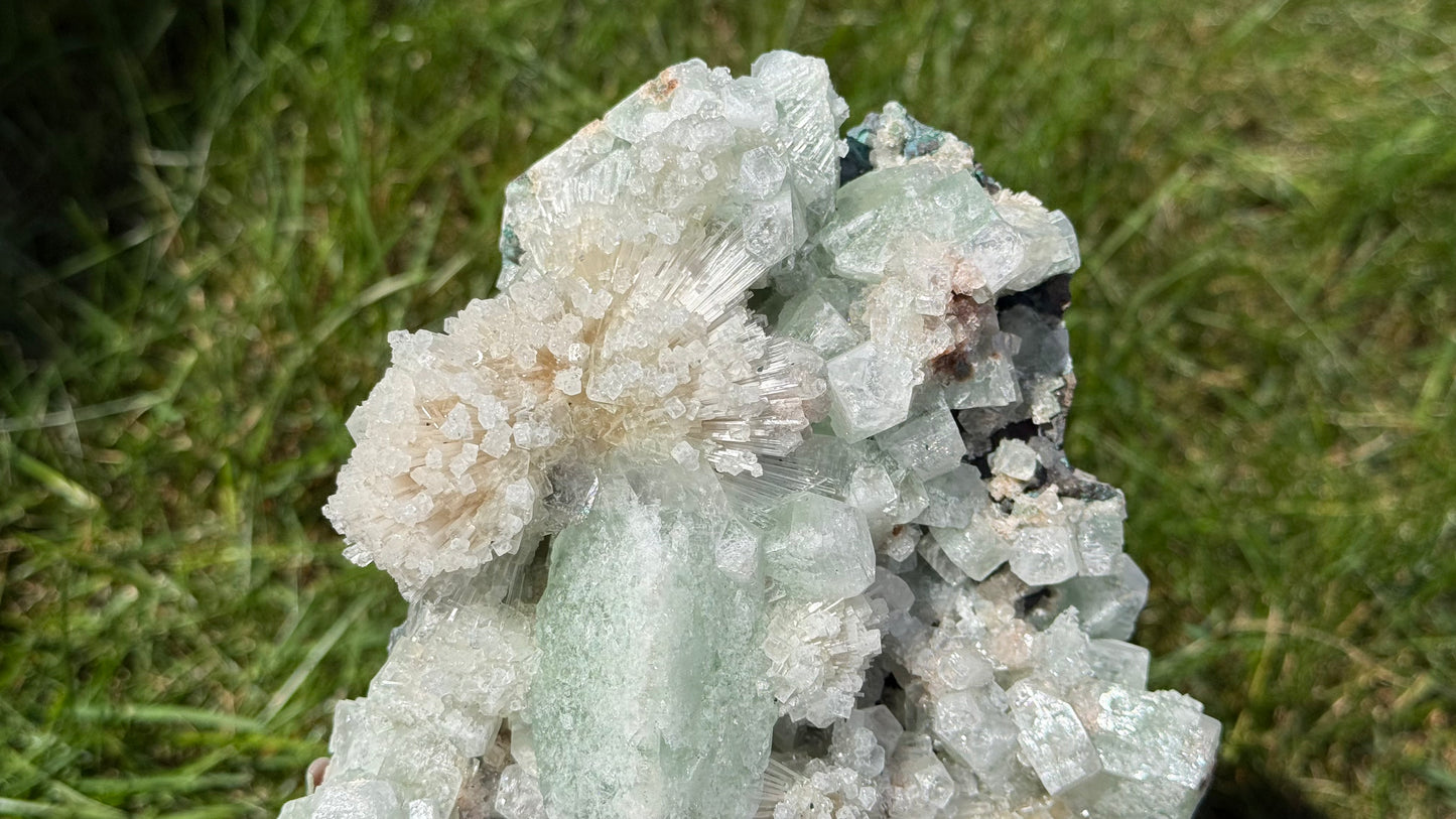 Green Apophyllite, Mesolite, Scolecite Specimen - Personal Collection Destash