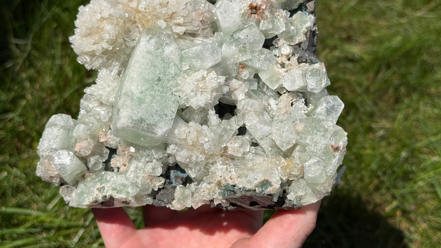 Green Apophyllite, Mesolite, Scolecite Specimen - Personal Collection Destash