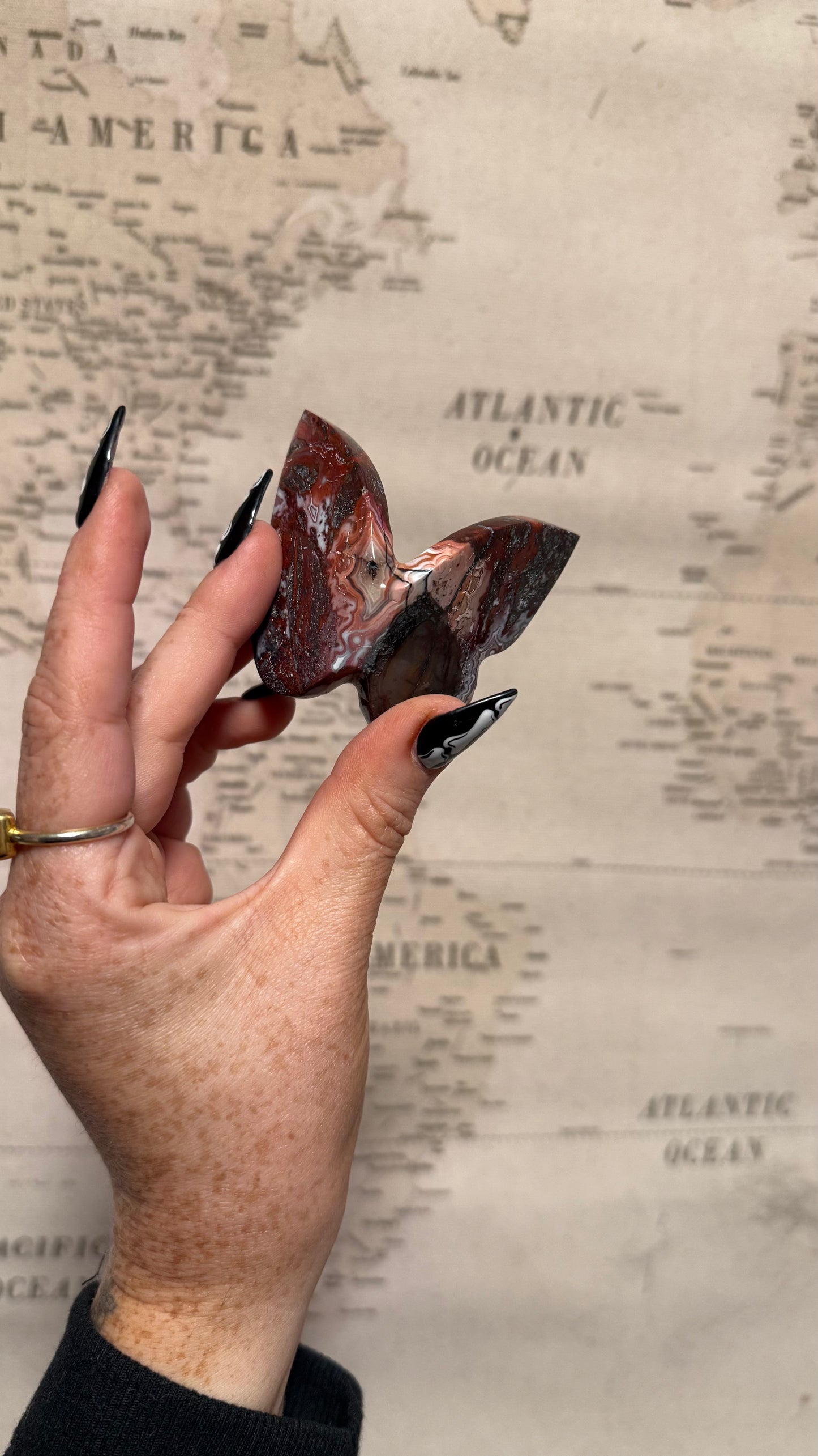 Mexican Crazy Lace Agate 3D Butterfly - Personal Collection Destash