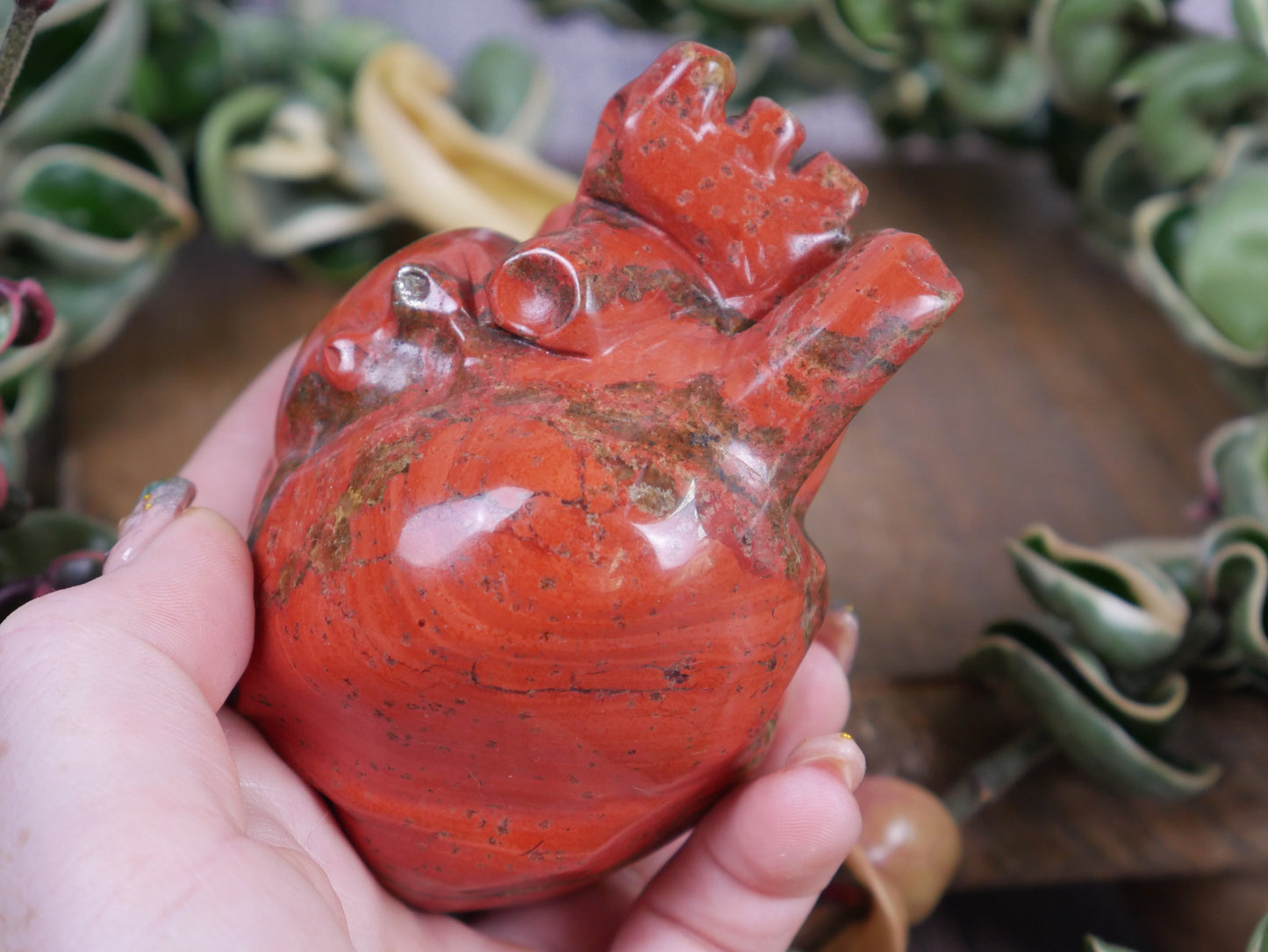 Red Jasper Anatomical Heart #4