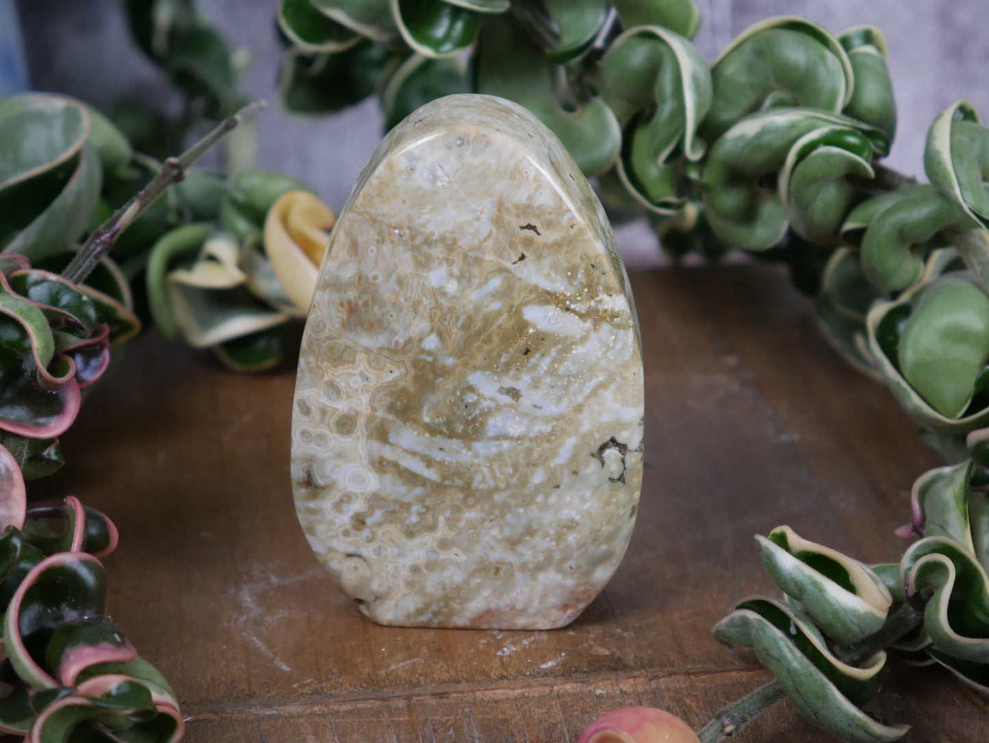 7th Vein Ocean Jasper Freeform - Personal Destash